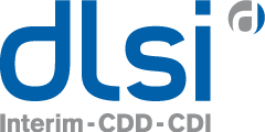Logo DLSI emploi