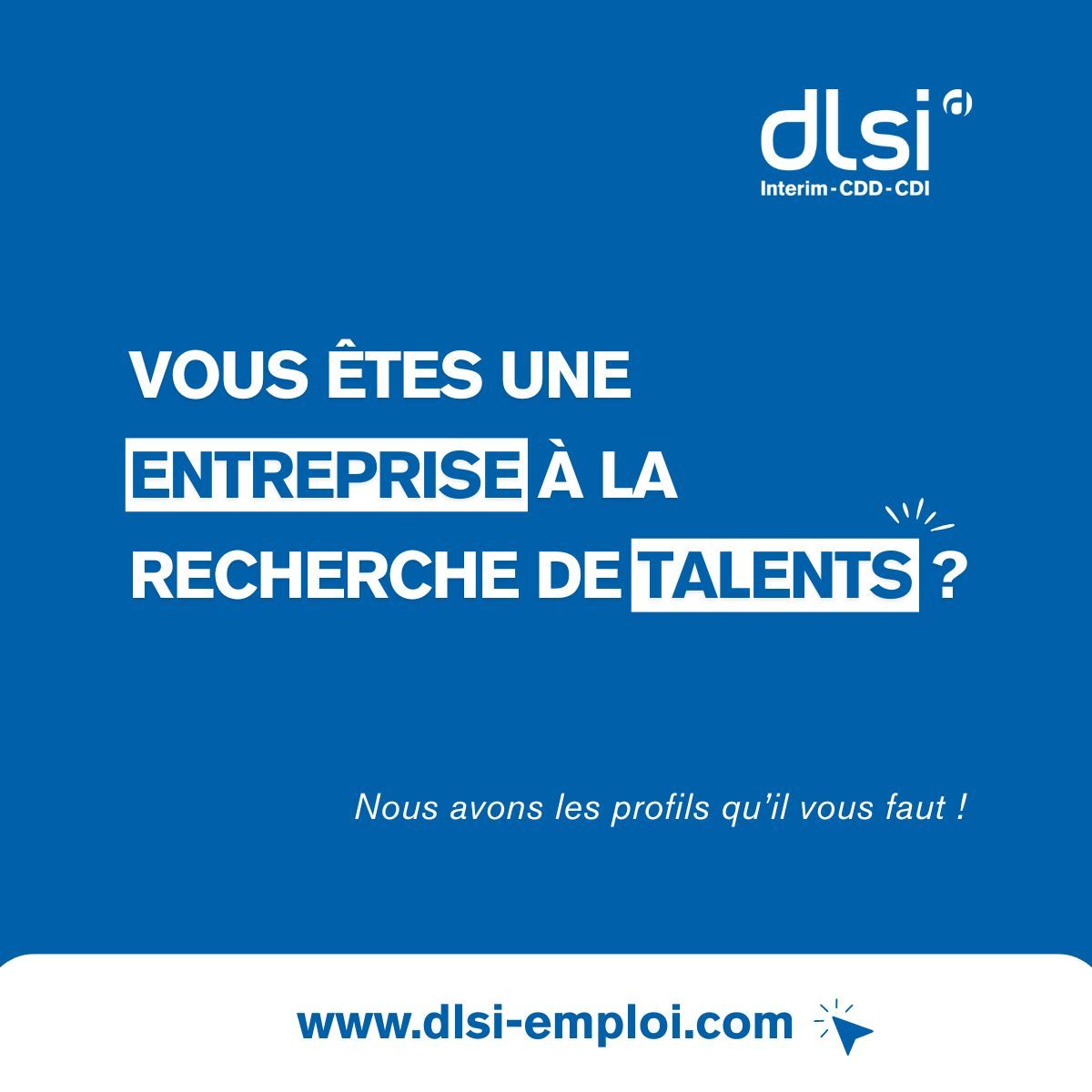 Vous êtes une entreprise à la recherche de talents ? | DLSI Emploi