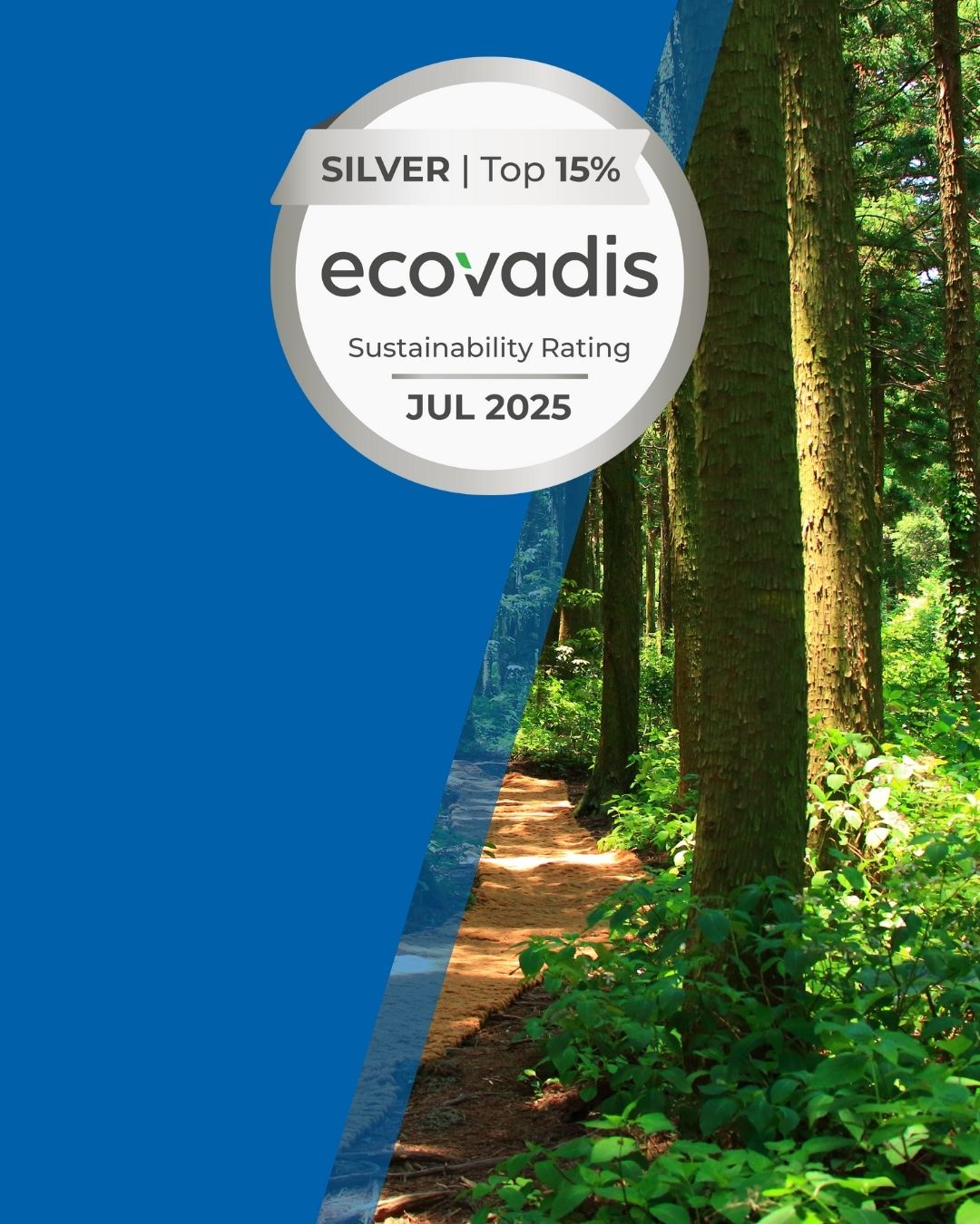 Le Groupe DLSI obtient la médaille d’argent EcoVadis | DLSI Emploi